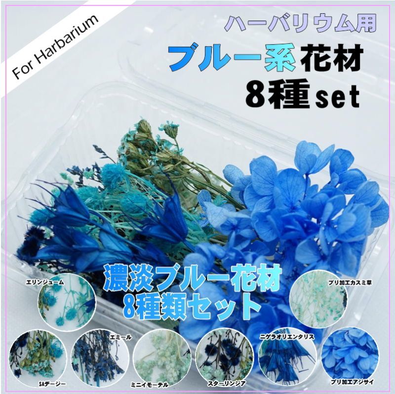 【Ａ】ハーバリウム花材8種セット（ブルー系）