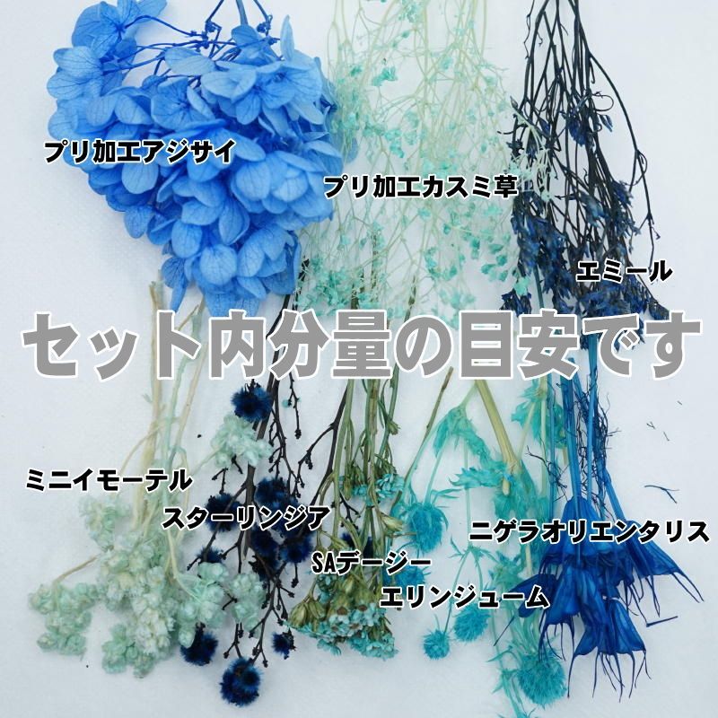 【Ａ】ハーバリウム花材8種セット（ブルー系）